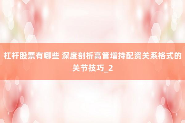 杠杆股票有哪些 深度剖析高管增持配资关系格式的关节技巧_2